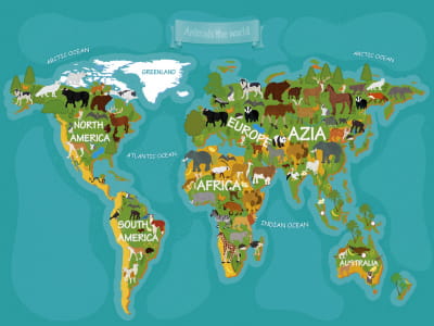 Fototapeta Mapa dzikich zwierząt