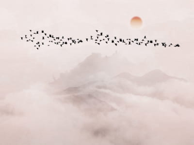 Fototapeta Stado ptaków o zachodzie słońca