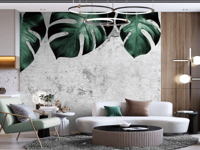 Fototapeta Monstera na betonie - mojatapeta.pl Fototapeta Monstera na betonie - mojatapeta.pl