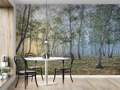 Fototapeta 3D brzozy - mojatapeta.pl Fototapeta 3D brzozy - mojatapeta.pl