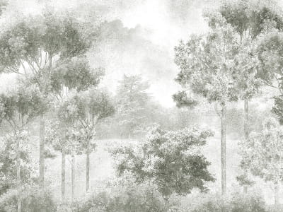 Fototapeta Park Szmaragdowy