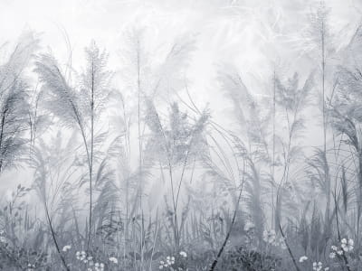 Fototapeta Niebieskie kwiaty polne