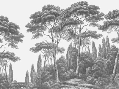 Fototapeta Cyprysy, panorama