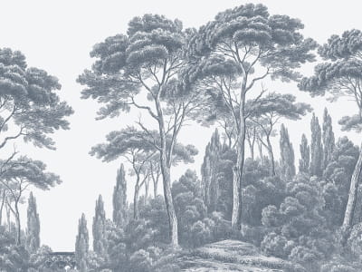 Fototapeta Cyprysy