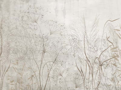 Fototapeta Beżowe kwiaty polne