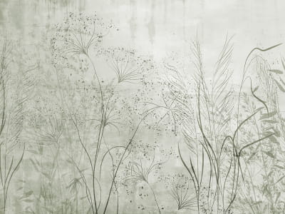 Fototapeta Magiczne kwiaty pól