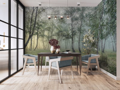 Fototapeta Tajemniczy las brzozowy - mojatapeta.pl Fototapeta Tajemniczy las brzozowy - mojatapeta.pl