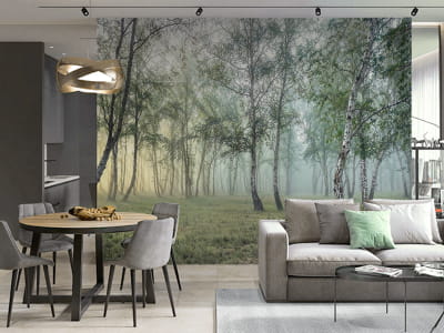 Fototapeta Tajemniczy las brzozowy - mojatapeta.pl Fototapeta Tajemniczy las brzozowy - mojatapeta.pl