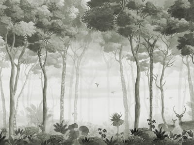 Fototapeta Mglisty las z dziką przyrodą