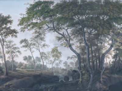 Fototapeta Malowniczy park