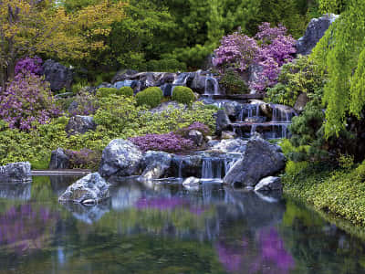 Fototapeta Wodospad w kwitnącym ogrodzie