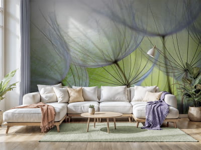 Fototapeta Duże puszyste mlecze - mojatapeta.pl