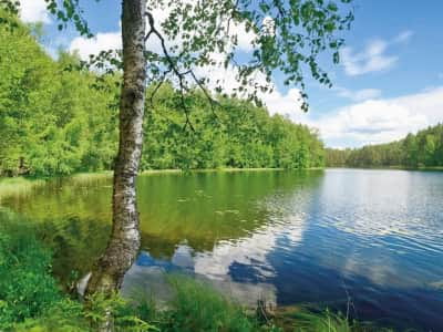 Fototapeta Spokojne leśne jezioro