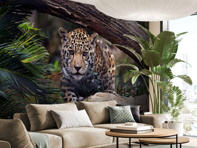 Fototapeta Jaguar - mojatapeta.pl