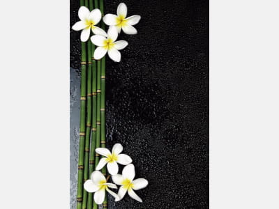 Fototapeta Bambus i plumeria