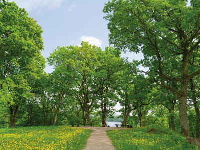 Fototapeta Cichy park