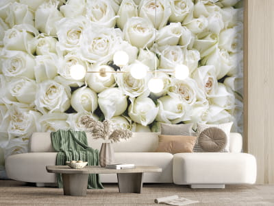 Fototapeta Bukiet białych róż - mojatapeta.pl Fototapeta Bukiet białych róż - mojatapeta.pl