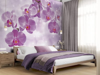 Fototapeta Różowa orchidea - mojatapeta.pl Fototapeta Różowa orchidea - mojatapeta.pl