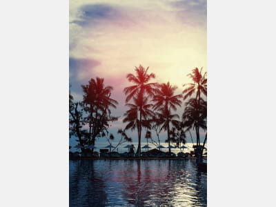 Fototapeta Zachód słońca palmy