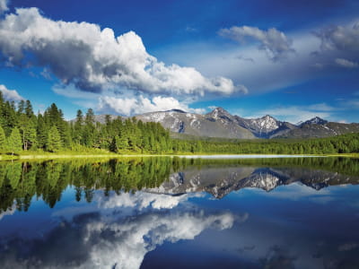 Fototapeta Piękna natura