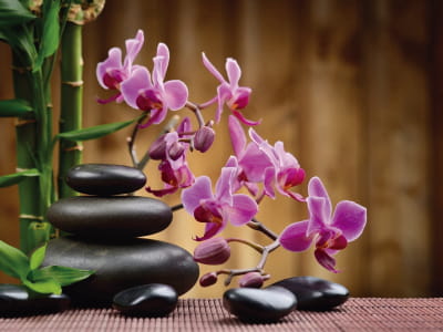 Fototapeta Fioletowa orchidea i bambus