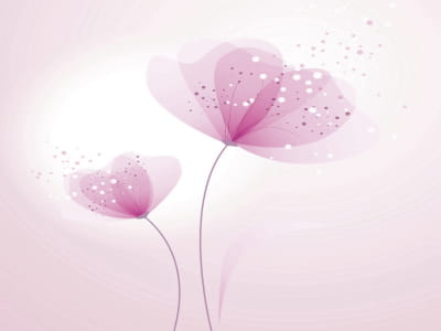 Fototapeta Kwiaty w kolorze pudrowego różu