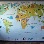 Recenzja zdjęć klienta Marcin #1