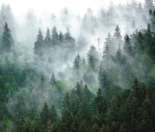 Układ zamówienia #1