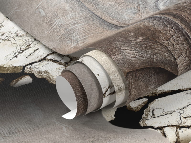 Fototapeta Nosorożec ze ściany fragment #1