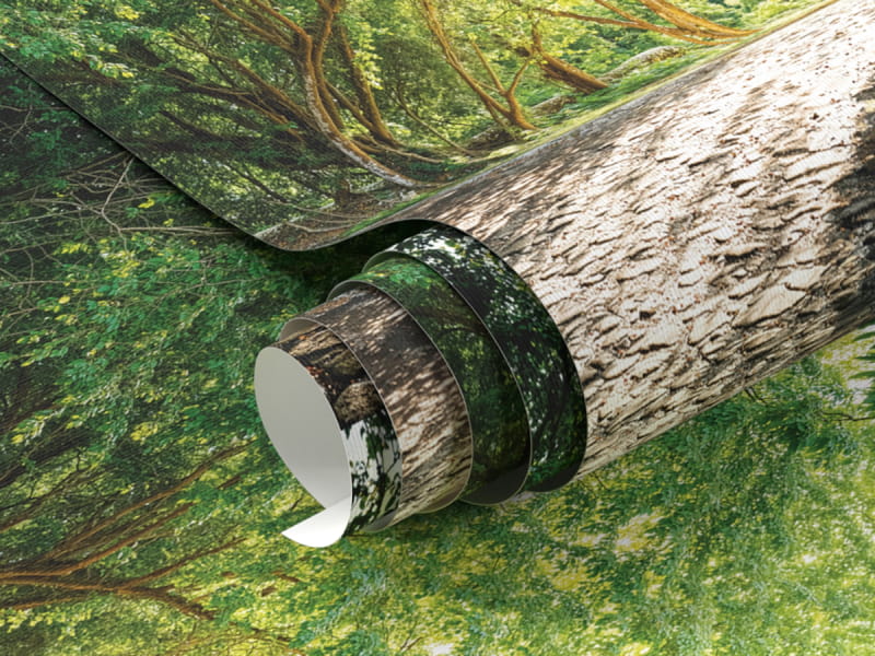 Fototapeta Rano w parku miejskim fragment #1
