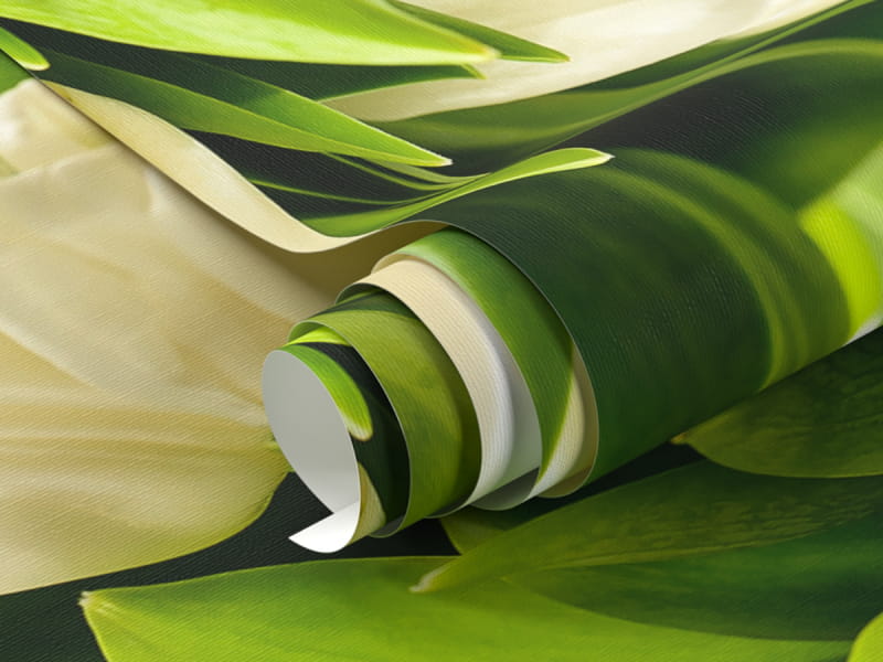 Fototapeta Białe tulipany fragment #1