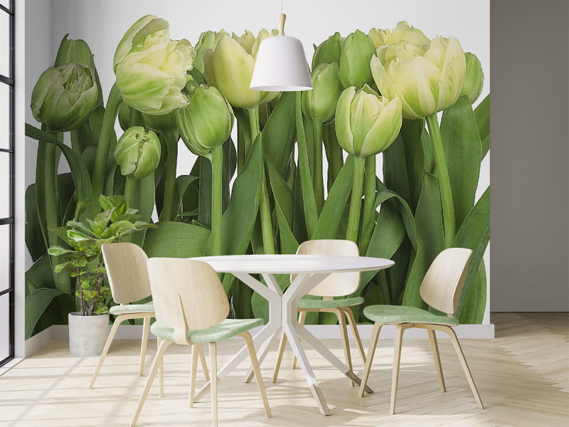 Fototapeta Wiosenne tulipany we wnętrzu kuchni