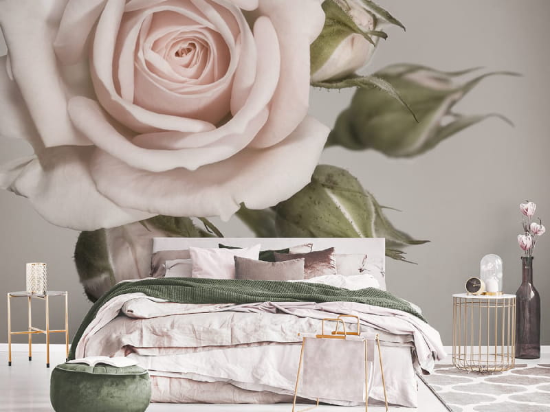 Fototapeta Delikatna róża we wnętrzu sypialni