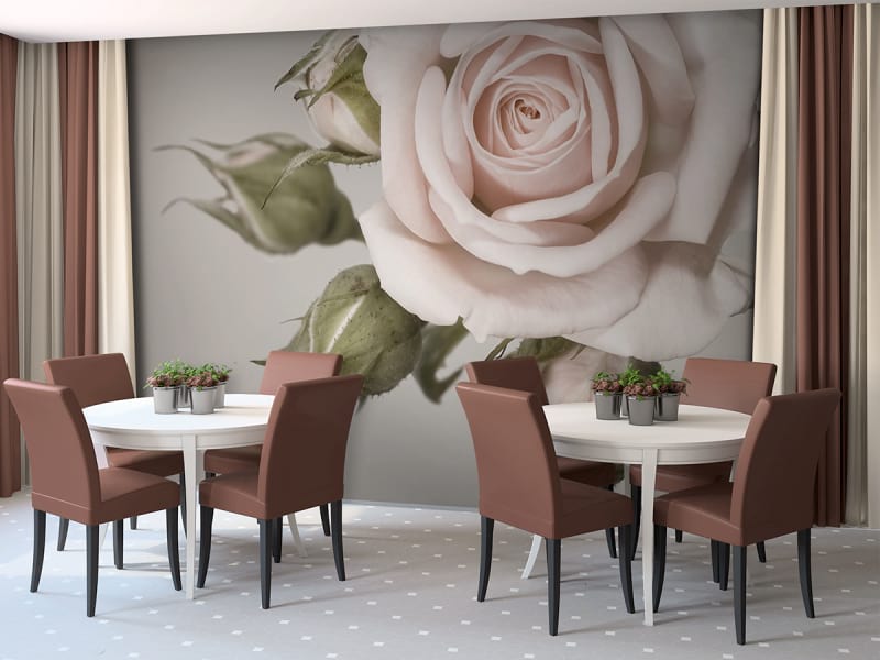 Fototapeta Delikatna róża we wnętrzu kawiarni