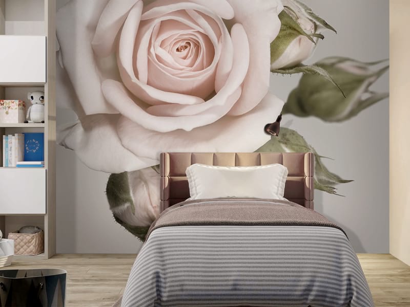 Fototapeta Delikatna róża we wnętrzu pokoju nastolatka