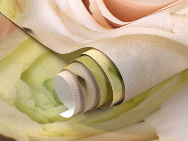 Fototapeta Kremowe róże fragment #1