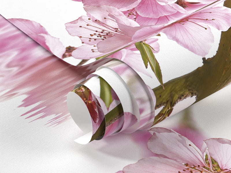 Fototapeta Sakura nad wodą fragment #1