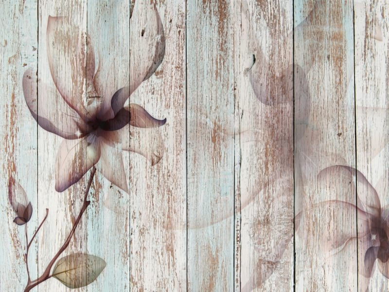 Fototapeta Magnolia rysunek na drewnie