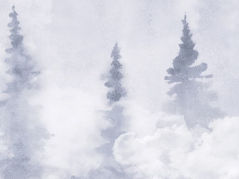 Fototapeta Mgła w sosnowym lesie fragment #2