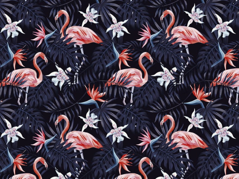 Fototapeta Flamingi w nocnych tropikach