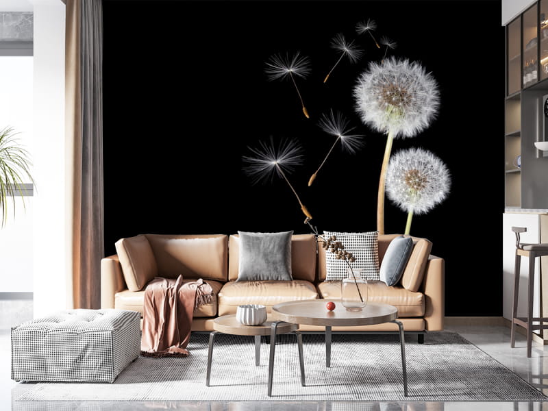Fototapeta Para białych dandelions we wnętrzu salonu