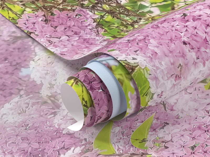 Fototapeta Kwitnący bzu fragment #1