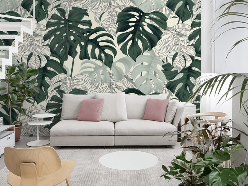 Fototapeta Delikatne liście monstery we wnętrzu salonu