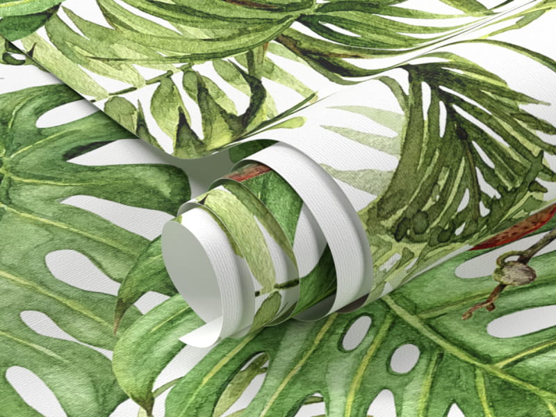 Fototapeta Młody tropikalny ogród fragment #1