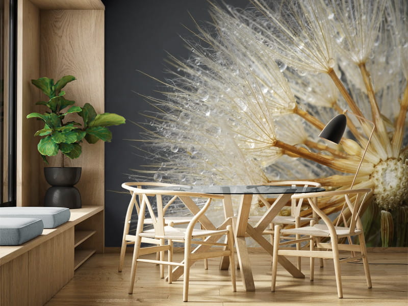 Fototapeta Makro mlecze we wnętrzu kuchni