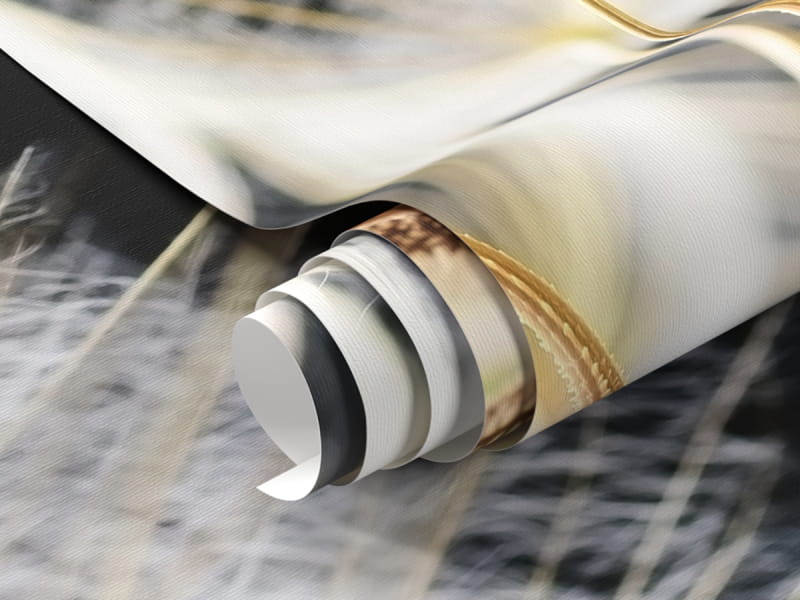 Fototapeta Bujne makro mniszka lekarskiego fragment #1