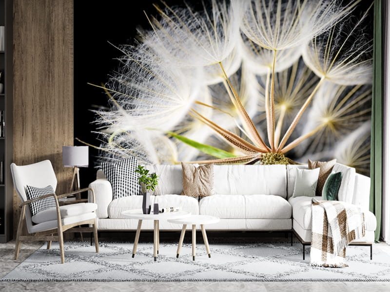 Fototapeta Bujne makro mniszka lekarskiego we wnętrzu salonu