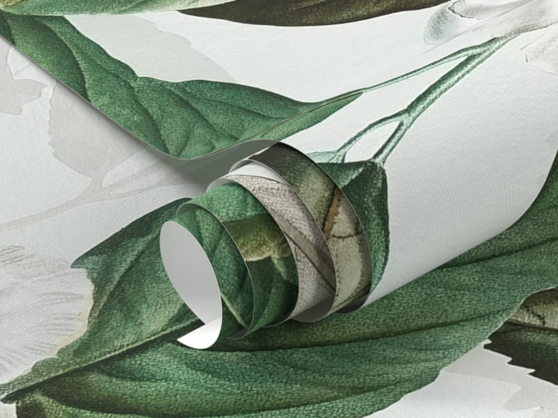 Fototapeta Kwitnąca dzika róża fragment #1