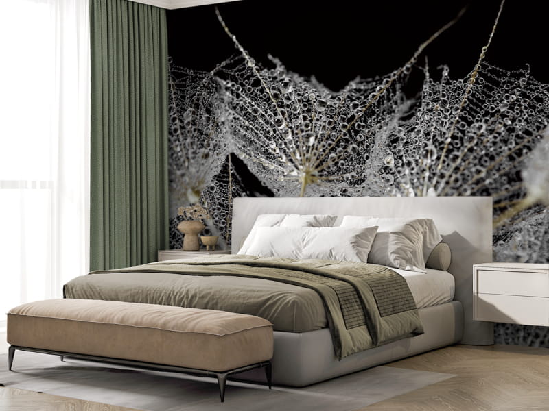 Fototapeta Kwiatostan mniszka lekarskiego we wnętrzu sypialni