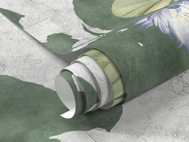 Fototapeta Lilie wodne fragment #1